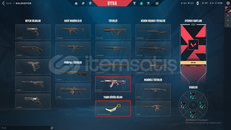 ASİL KARAMBİTLİ SIRÇİÇEĞİ VANDALLI TR MAİLLİ