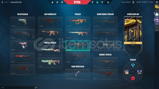 ASİL+RGX+YAĞMACI+PROTOCOL+BP KARAMBIT | 141 LVL