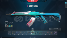 ASİL VANDAL + İYON PHANTOM + 5 SKİN +199 VP