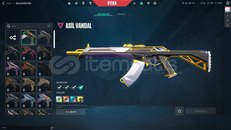 ASİL VANDAL + SPLASX PHANTOM FİYAT PERFORMANS