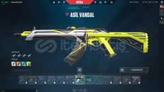 ASİL VANDAL TR MAİLLİ HESAP-