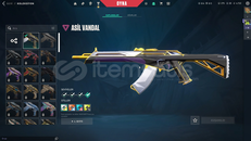 ASİL VANDAL TR MAİLLİ HESAP