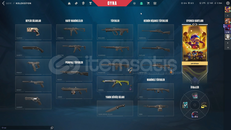 ASİL VANDAL TR MAİLLİ HESAP