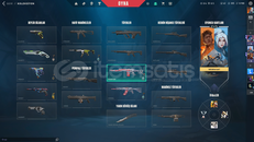 Asil Vandal Uyguna Hesap