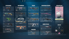 İlk Mailli main yapmalık hesap