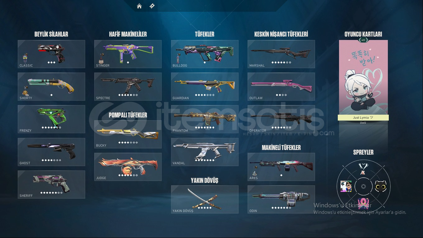 İlk Mailli main yapmalık hesap İlk Mailli main yapmalık hesap