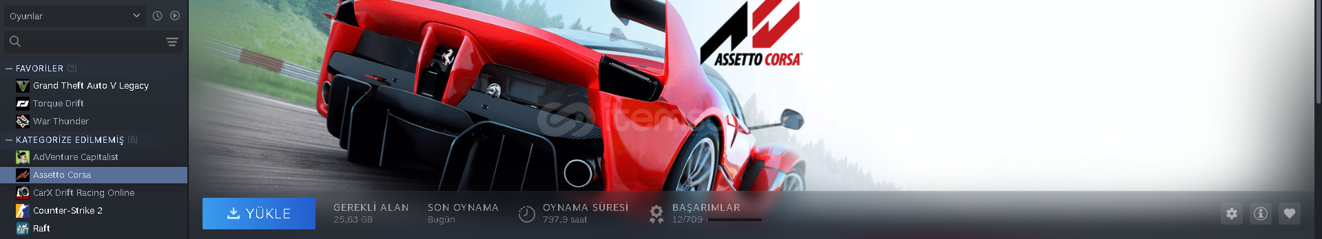 ASSETTO CORSA 2'Lİ HESAP ASSETTO CORSA 2'Lİ HESAP