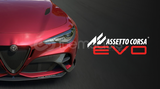Assetto Corsa EVO + Garanti