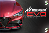 Assetto Corsa EVO + Garanti