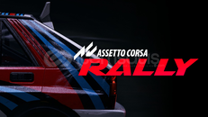 Assetto Corsa Rally + Garanti