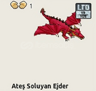 ATEŞ SOLUYAN EJDER NO19 LTD