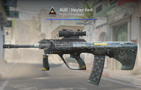 AUG | Haylaz Kedi (Görevde Kullanılmış)