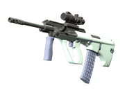 ✅ AUG | Storm