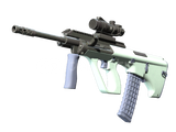 ✅ AUG | Storm