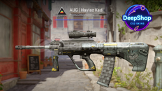 AUG | Tom Cat (Field-Tested) AUG | Tom Cat (Field-Tested)