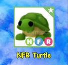 AUSİE EGGDEN ÇIKMA BABA PET NFR TURTLE HEDİYEli