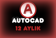 AUTOCAD KİŞİSEL HESAP [1-YILLIK]