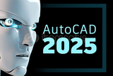 Autodesk AutoCAD 2025.1.1 (Ömür Boyu Lisanslı)