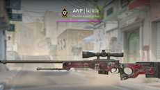 AWP | Duality