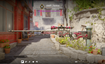 AWP | Duality (5x Holo Stickerli)