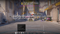 Awp hezeyan statTrak (FN)
