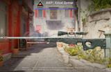 AWP | Kılcal Damar