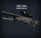 AWP PAW Battle Scarred