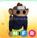 Baba Petlerden Nfr Ninja Monkey Baba Petlerden Nfr Ninja Monkey