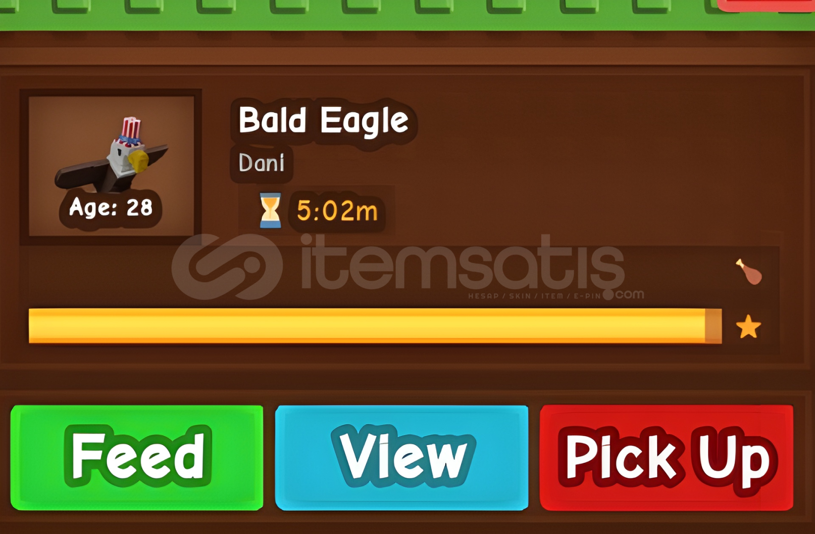 Bald Eagle Bald Eagle