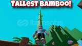bamboo 40x 20 tl seed