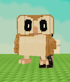 BARN OWL  BARN OWL