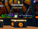 Basketball Zero : Perfection Player Card