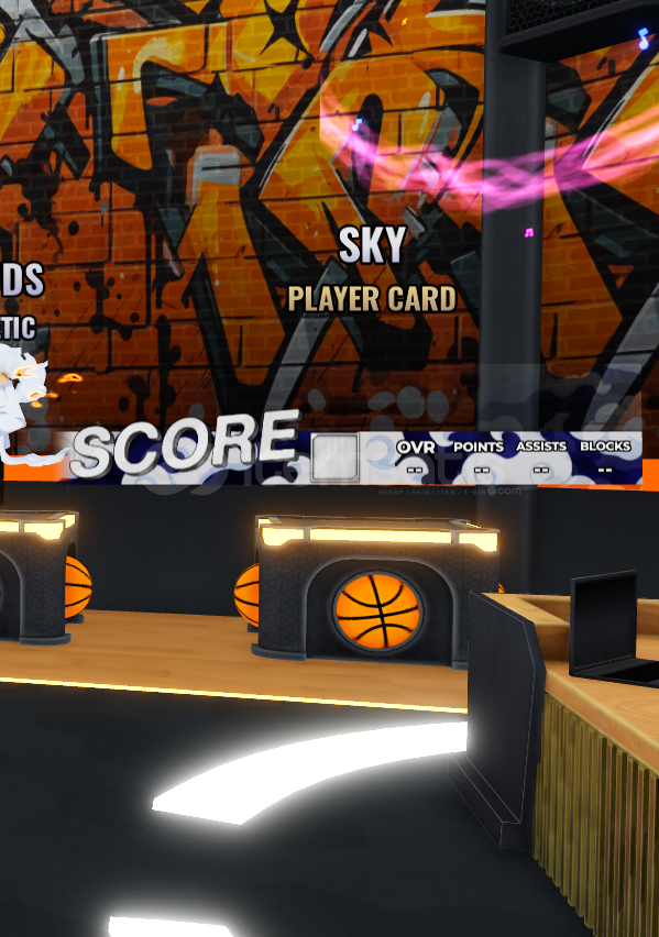 Basketball: Zero / SKY PLAYER CARD Basketball: Zero / SKY PLAYER CARD