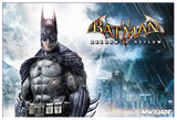 Batman Arkham Asylum + Garanti Destek