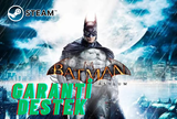 BATMAN ARKHAM ASYLUM - KİŞİYE ÖZEL HESAP