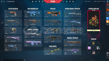 BATTLEPASS HARİÇ 22 SKİNLİ HESAP 