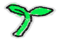 BEE SWARM SİMULATOR SPROUT