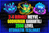 (BF) 2-4 KIRMIZI MEYVE+GODHUMAN GARANTİLİ 2550 
