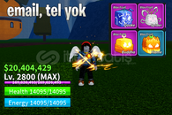 BF 2800 LEVEL + BUDDHA FRUIT HESAP