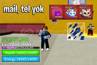 BF 2800 LEVEL + YETI FRUIT HESAP