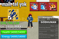 BF MAX LEVEL + 3 KIRMIZI MEYVE + GOD HUMAN HESAP