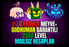 (BF) 2-4 KIRMIZI MEYVE+GODHUMAN GARANTİLİ 2550 