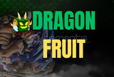 [BF] DRAGON FRUIT (EN UCUZU)