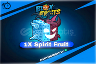 ⭐(BF) FRUİT (UCUZ)