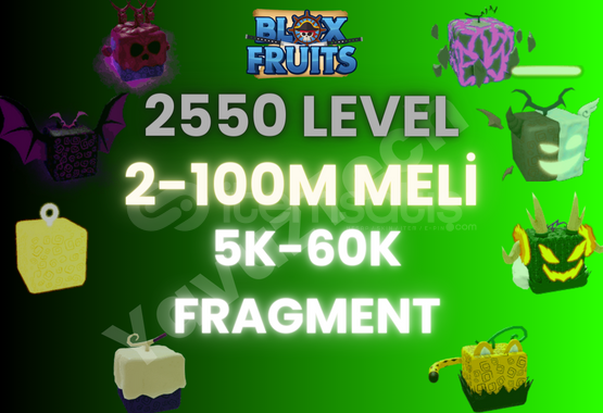 Blox Fruits 2550 lvl GodHuman MAX Flame HS Gravity Fruit Blizzard