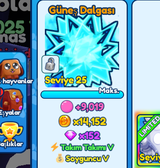 BGS / 1x Shiny Sun Burst pet