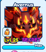 BGS inf AVERNUS SECRET LİMİTED PET