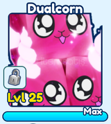BGS İnf Dualcorn