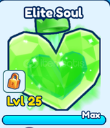 BGS inf Elite Soul LİMİTED competitive 