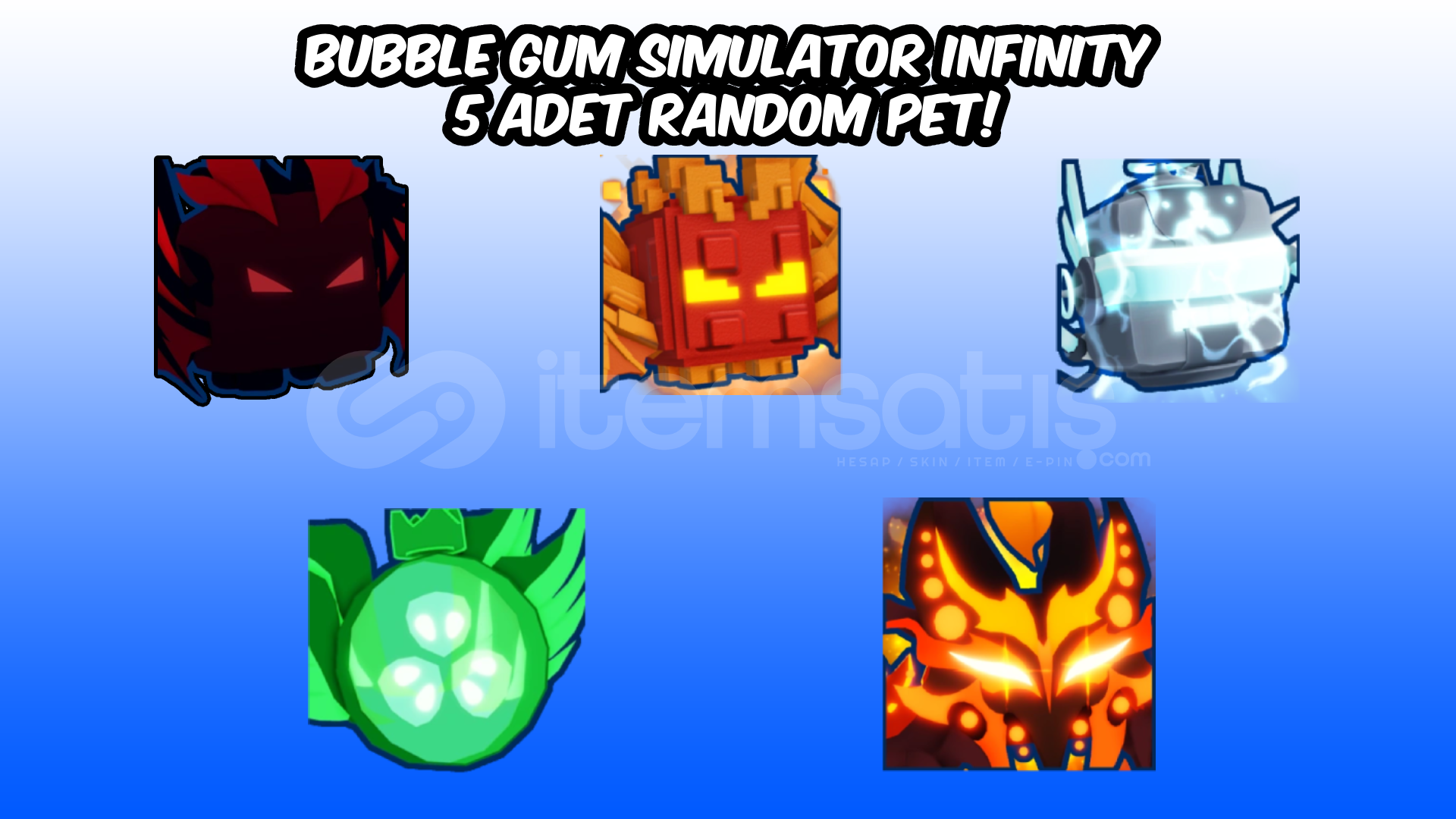 BGSI 5 ADET RANDOM PET! BGSI 5 ADET RANDOM PET!